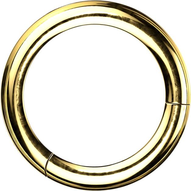 Immagine prodotto Star Piercing Anello a segmenti con cerniera placcato oro (Titanio G23)