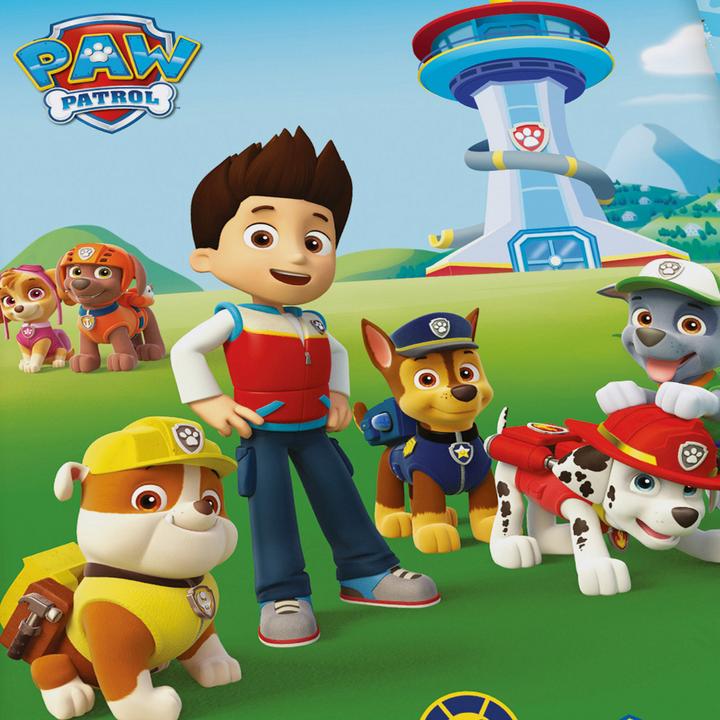 Immagine prodotto Herding Paw Patrol