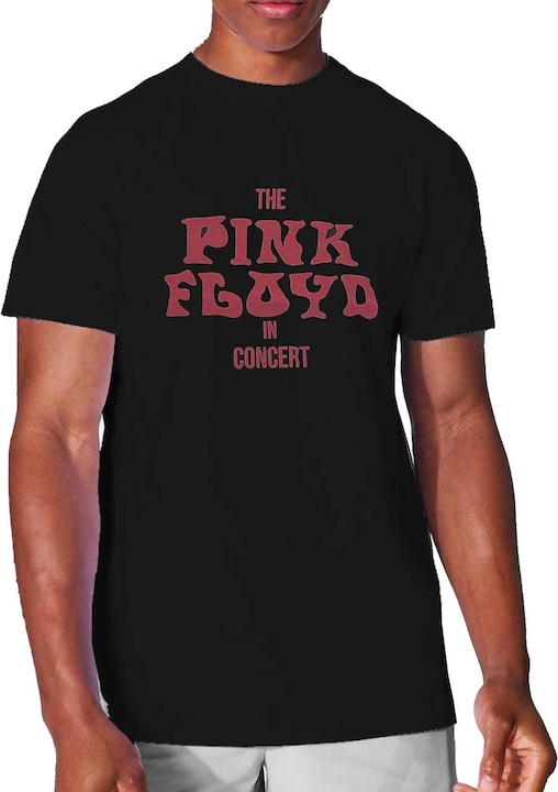 Pink Floyd In Concert