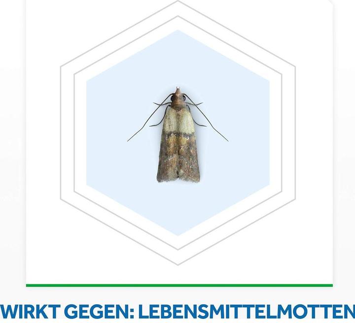 Actual product image Raid Essentials Food Moth Trap for Infestation Control