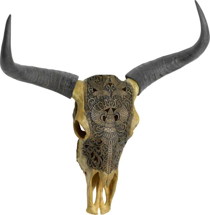 Actual product image pfister Tarro