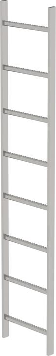 Productafbeelding Munk Roestvrijstalen schachtladder V4A 400 mm vrije breedte 8 sporten (5 cm)