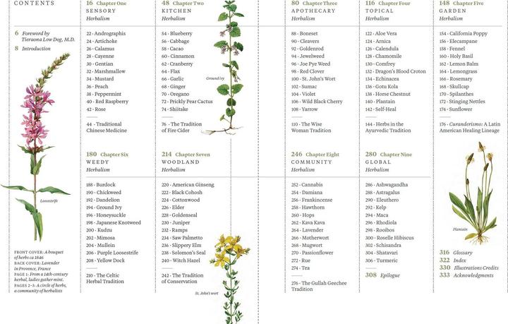 Produktbild National Geographic Die ganze Welt der Heilpflanzen (Deutsch, Mimi Prunella Hernandez, 2025)