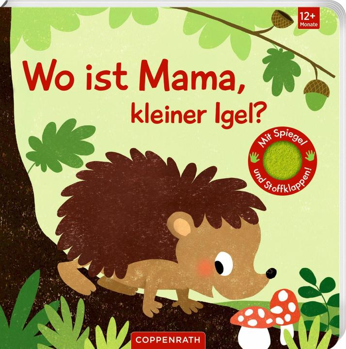 Actual product image Where's mummy, little hedgehog? (German)