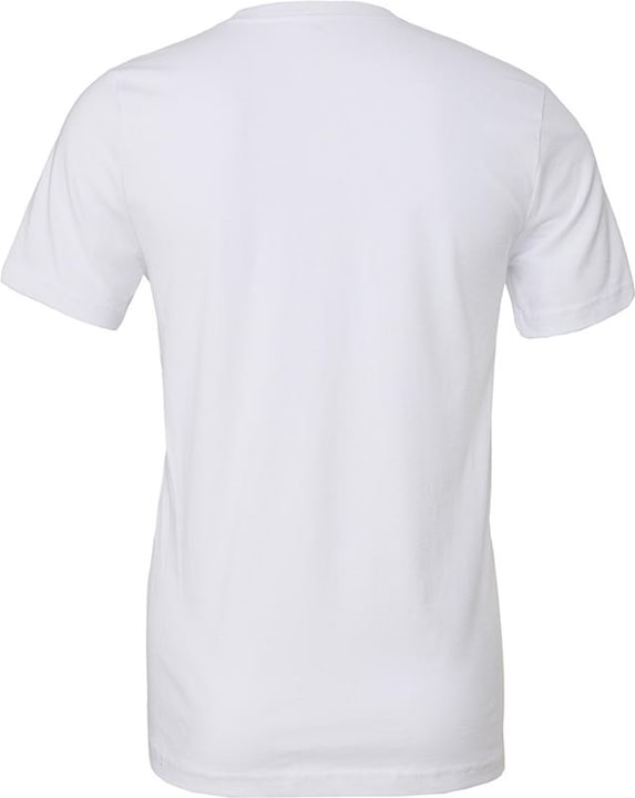 Actual product image Bella Canvas Adults Unisex Crew Neck T-Shirt (L)