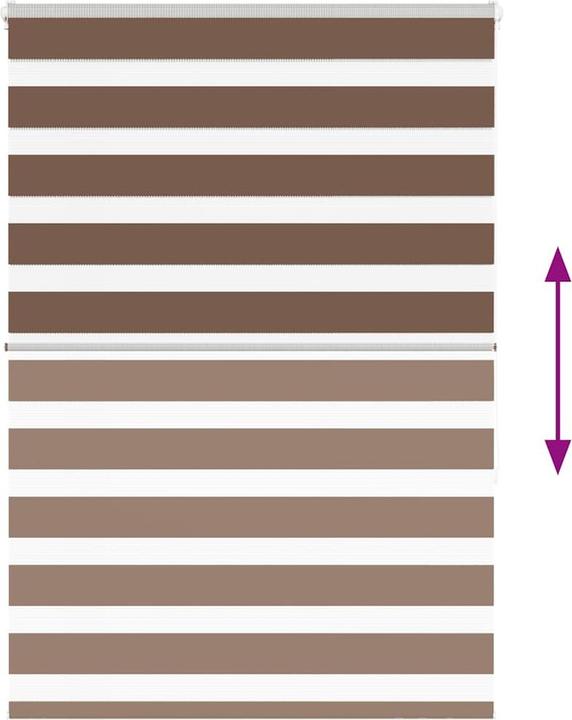 Produktbild vidaXL Zebra-Jalousie (95 x 150 cm)