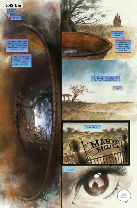 Actual product image Panini Batman: Geheimnisse/Arkham Asylum - Madness (Deluxe Edition) (German, Sam Kieth, 2024)