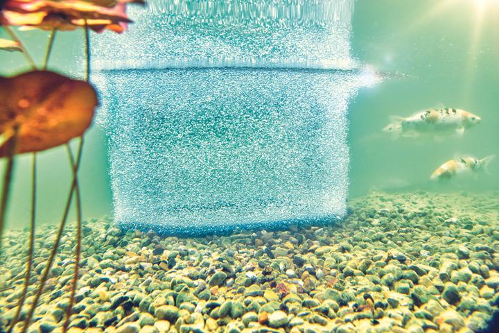 Actual product image Oase 88667 AquaOxy D 60cm aerator ring
