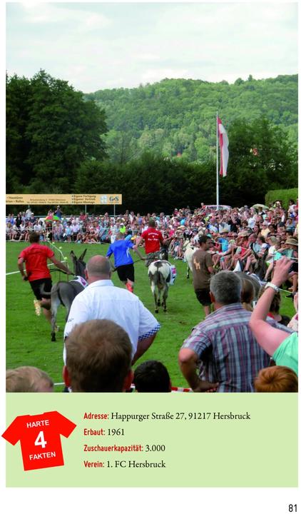 Produktbild Fussballheimat Franken (Deutsch, Matthias Hunger, 2017)