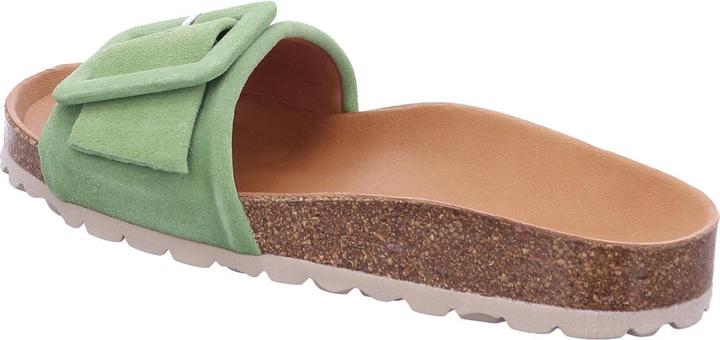 Image du produit Verbenas REIKO 3304020 Kelp (40)