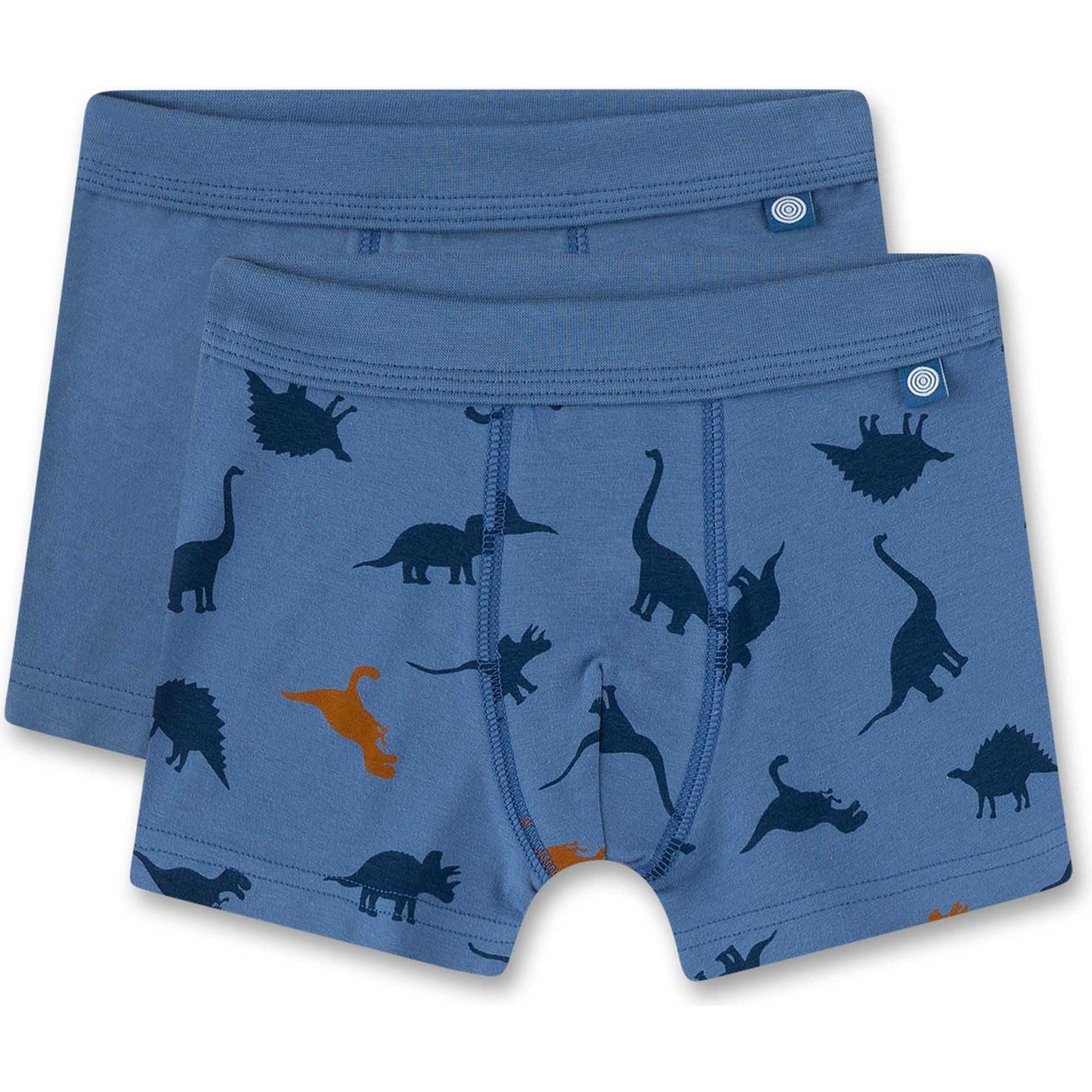 Sanetta, Jungen, Unterhosen, Kid's DP Short 337001+337003, Blau, (104, 2er Pack)