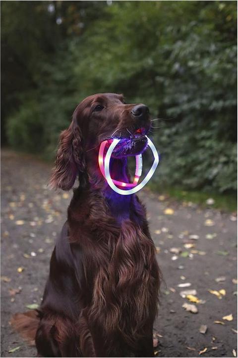 Produktbild Flamingo Leuchthalsband Nera Visio rot (Hund, Allgemein)