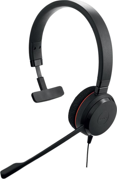 Actual product image Jabra Evolve 20 (Cable, USB-A)