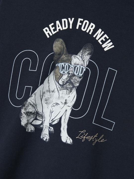 Immagine prodotto Name it Regular Fit Hoodie (122, 128)