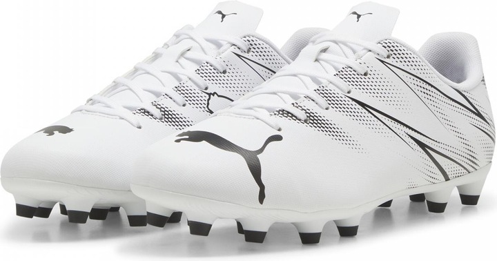 Produktbild Puma Attacanto Fg/Ag (48.5)