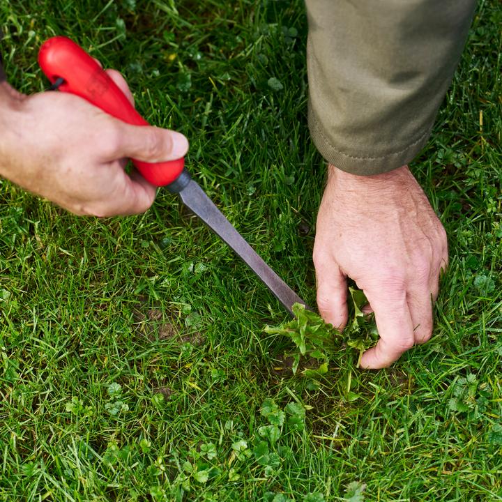 Produktbild Felco 442 Unkrautstecher