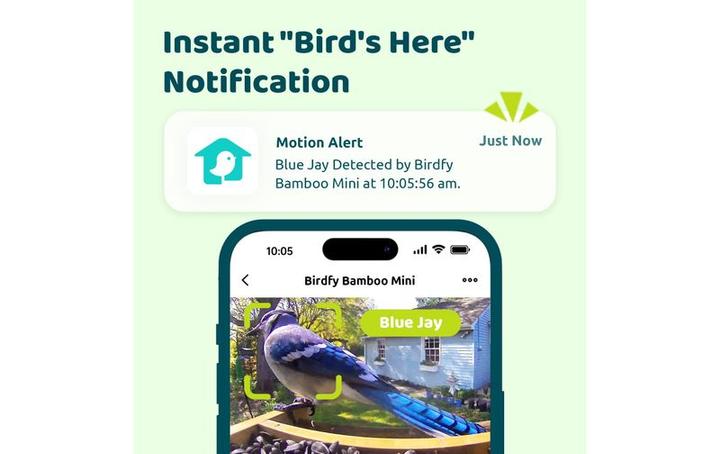 Immagine prodotto Birdfy Mini Solar