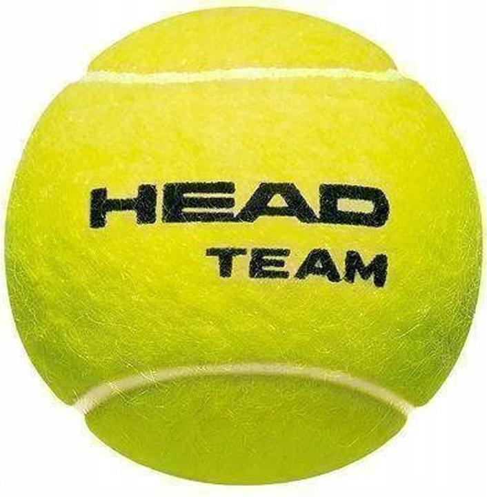 Immagine prodotto Head Palline da tennis 4Erpack Team