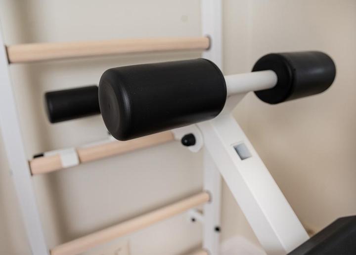 Actual product image BenchK Wall bars 233W
