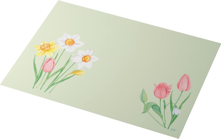Image du produit Duni Bio-Dunicel-Sets 30x40 Spring Melody 100P. (40 x 30 cm)