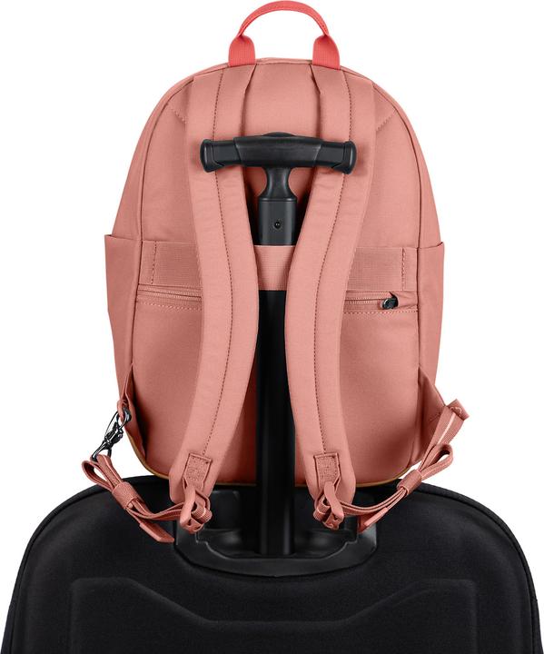 Immagine prodotto Pacsafe Go 15 (15 l)