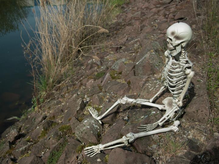Actual product image Europalms Halloween skeleton, 150 cm