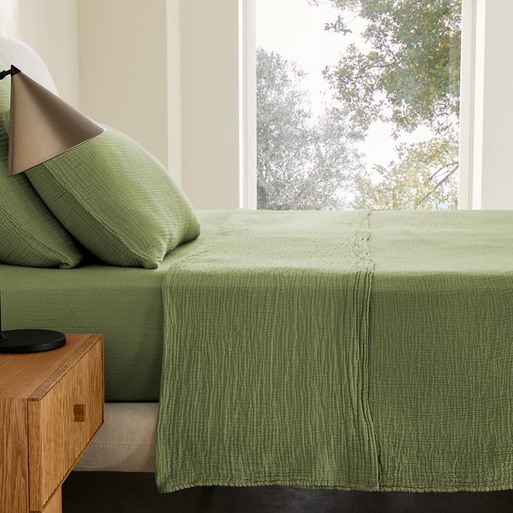 Vert mousse