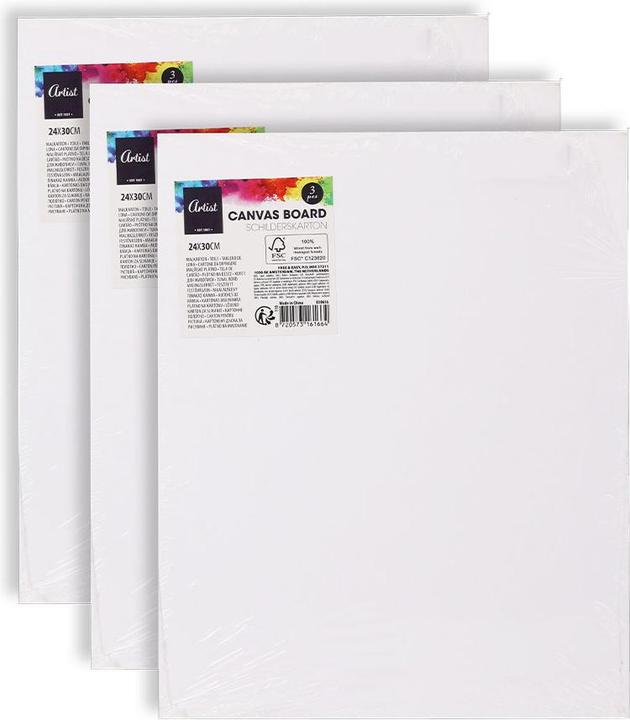 Actual product image Fs-Star Canvas