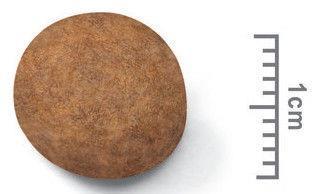 Image du produit Royal Canin Maxi Junior (Junior, 1 pcs, 4000 g)