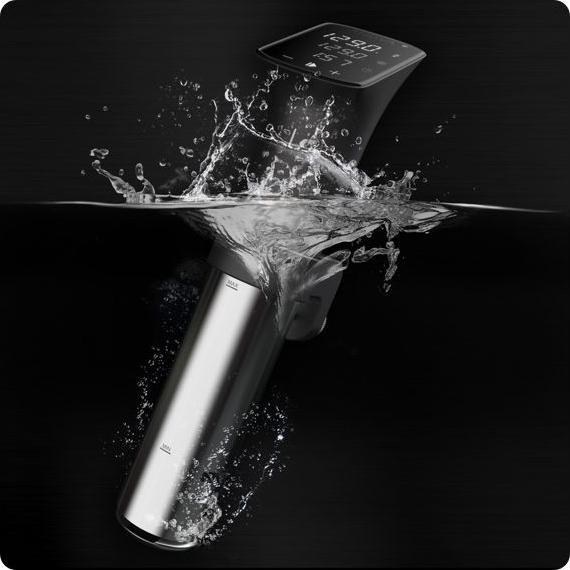 Actual product image Anova Precision Pro