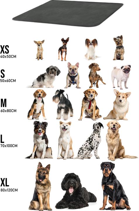 Actual product image Aspero Dog blanket Lund - 8613 (Dog)