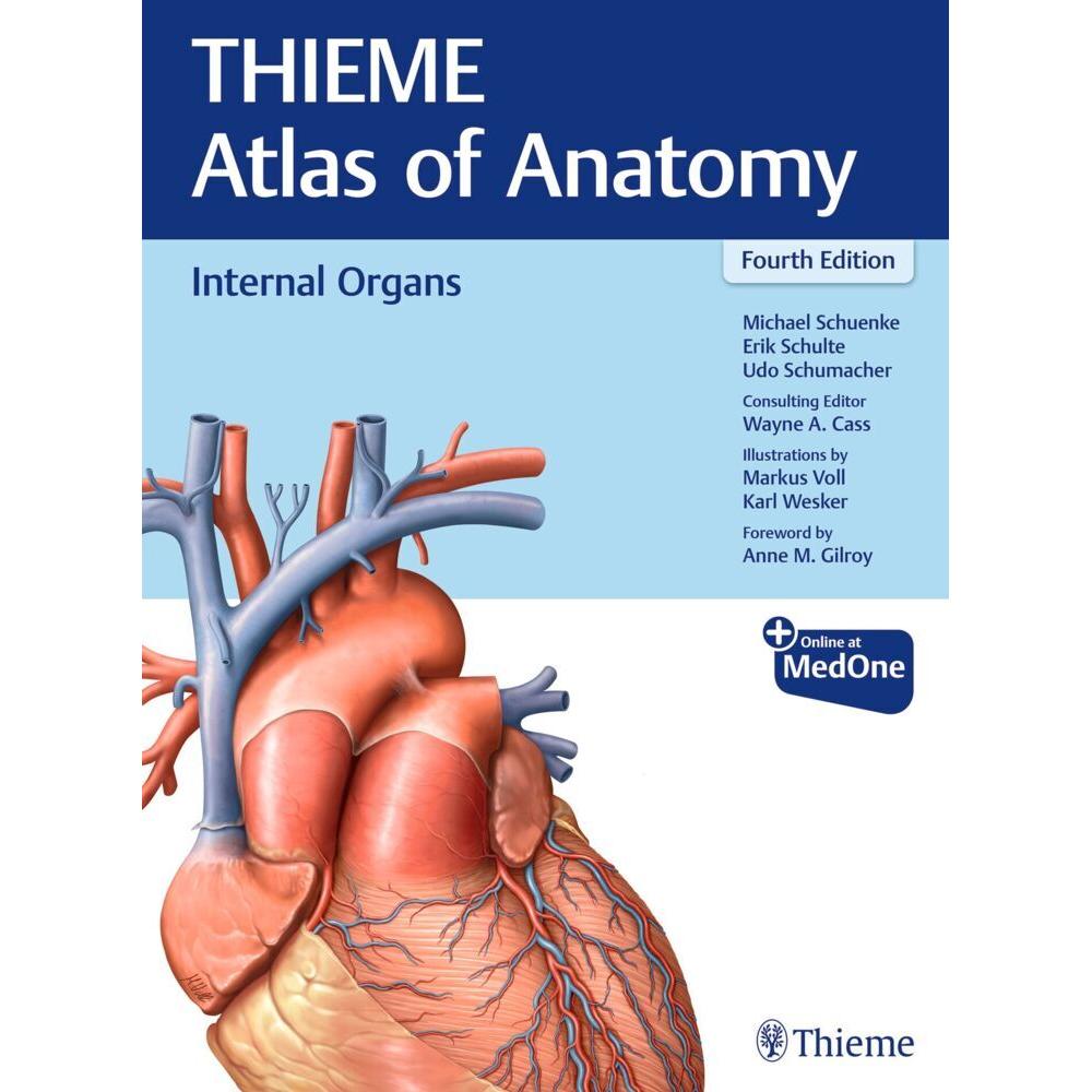 Internal Organs (THIEME Atlas of Anatomy), Fachbücher von Michael Schuenke, Udo Schumacher, Erik Schulte, Wayne Cass
