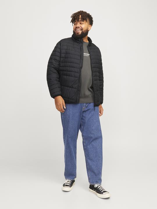 Actual product image Jack & Jones Jjestate Packable Puffer Collar Noos Pls (4XL)