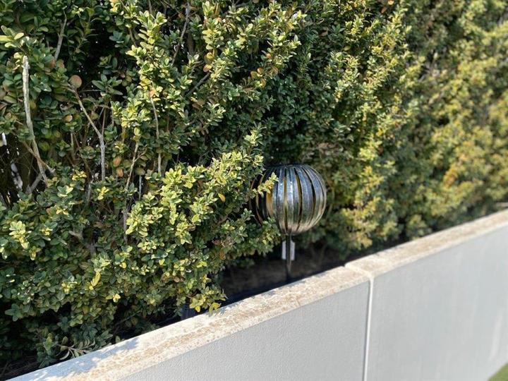 Image du produit GuGus Lampe solaire 6 LED