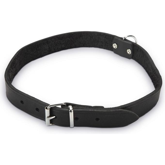 Beeztees BZ LEDERHALSBAND SCHWZ 70X25 (Hund, Allgemein), Halsband + Leine