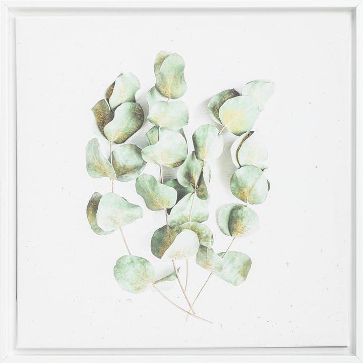Immagine prodotto edy&liv Muen (50 x 50 cm)