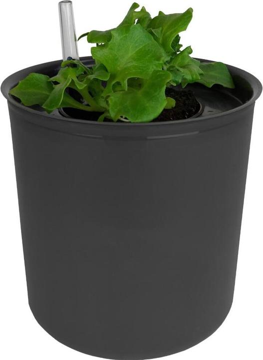 Produktbild Siena Garden Hydroponik-Starter-Kit anthrazit