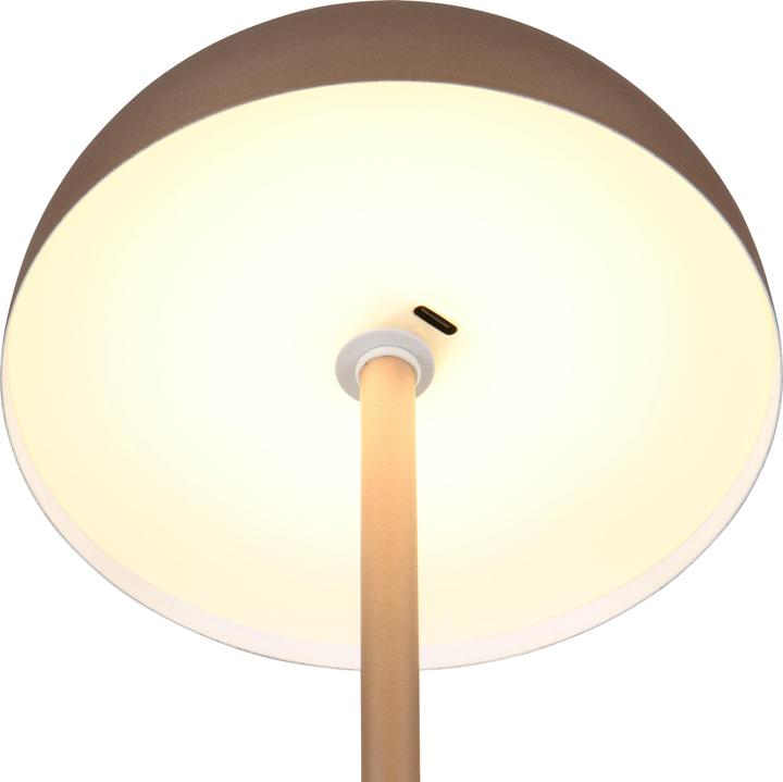 Actual product image Reality Munoz (120 lm)