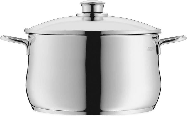 WMF Kochtopf Fleischtopf Induktion 24cm Glasdeckel Diadem Plus Edelstahl 18/10 (24 cm, Kochtopf, Edelstahl)