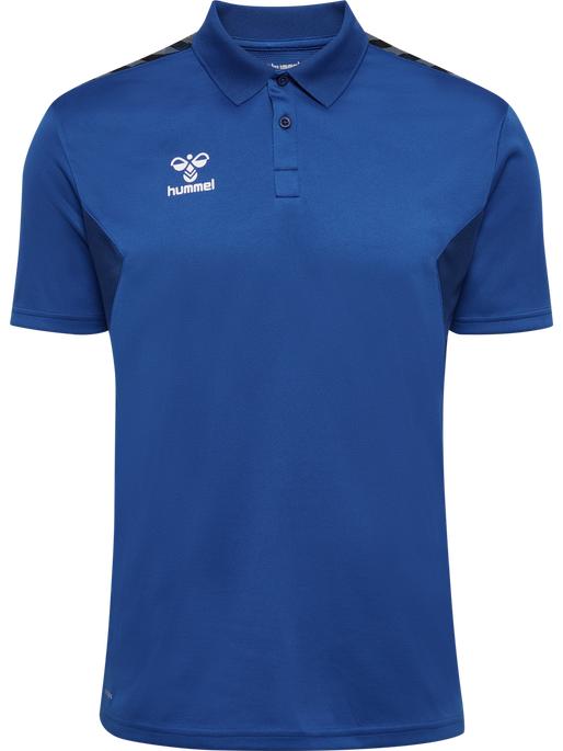 Actual product image hummel Hmlauthentic Functional Polo (XXL)