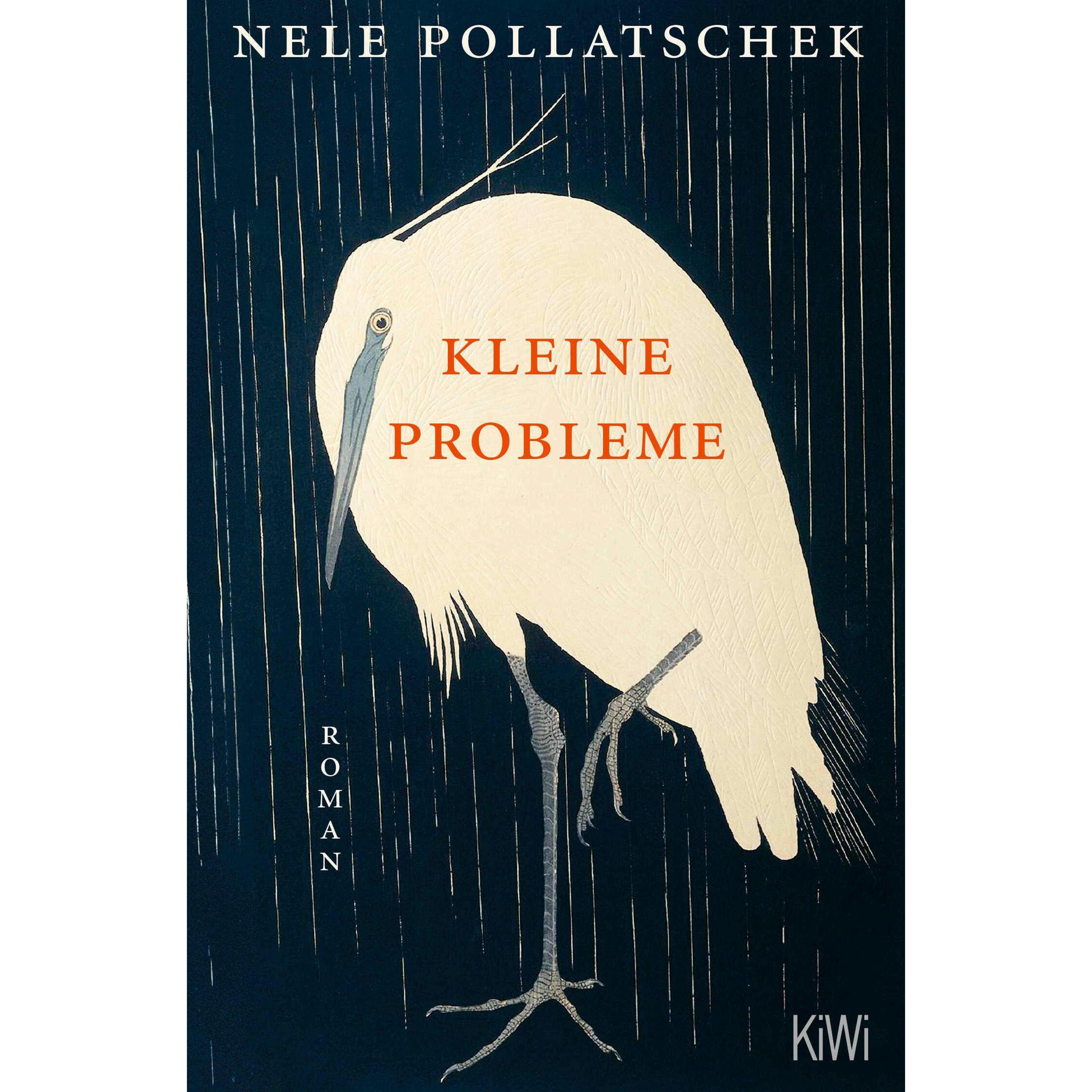 Kleine Probleme, Belletristik von Nele Pollatschek