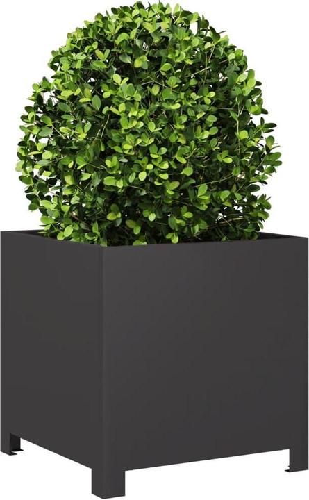 Produktbild vidaXL Pflanzkübel