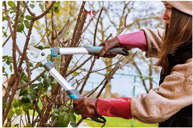 Immagine prodotto Gebol Damascena (8)