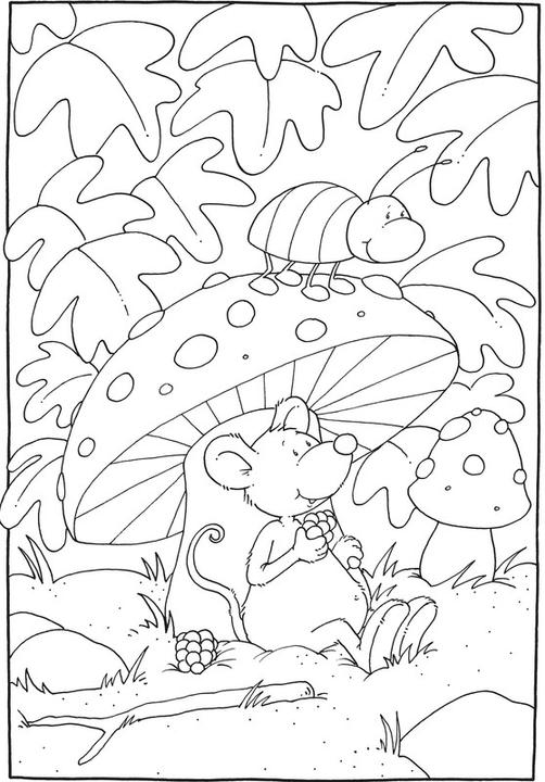 Actual product image Coloring book