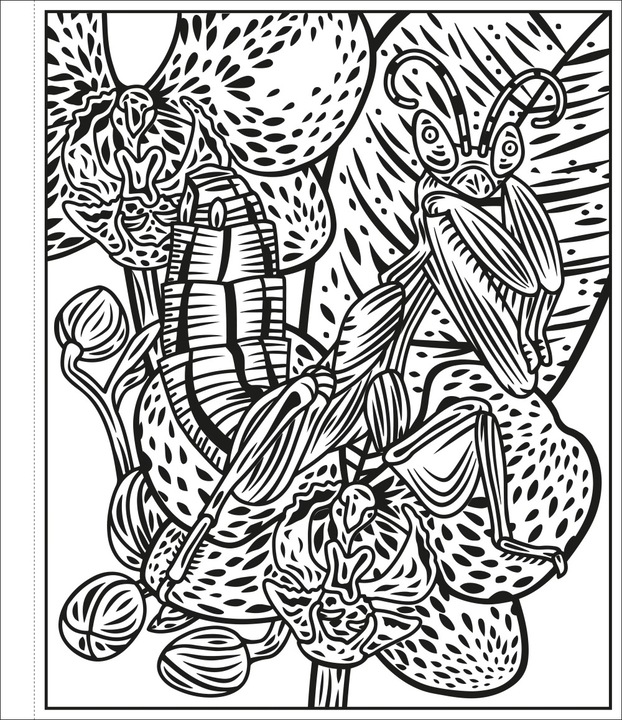 Actual product image My Colour Magic Colouring Book: The Colourful World of Insects
