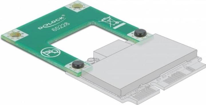 Actual product image Delock Converter Mini PCI Express