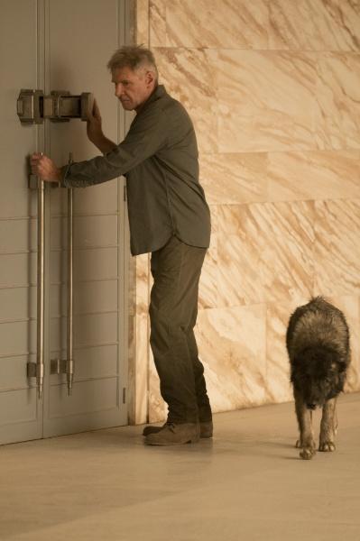 Image du produit Blade Runner 2049 - 4K (Blu-ray 4k, 2017, Allemand)