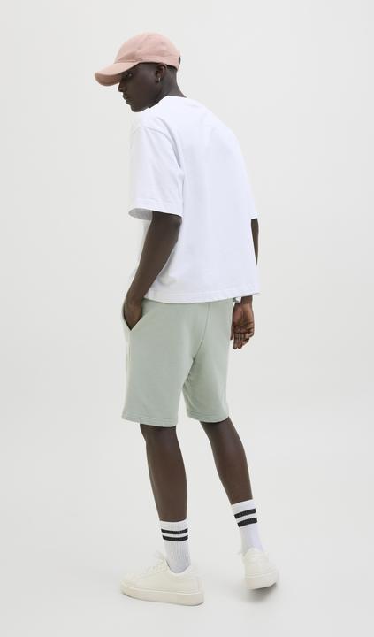 Produktbild Jack & Jones Regular Fit Shorts Shorts (XXL)