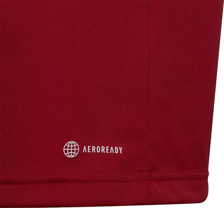 Actual product image adidas Entrada 22 Polo Kids (116)