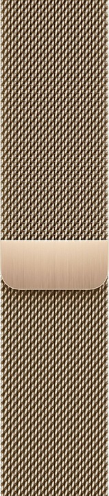 Image du produit Apple Bracelet milanais (41 mm, Acier inoxydable, Apple Watch Series 9)